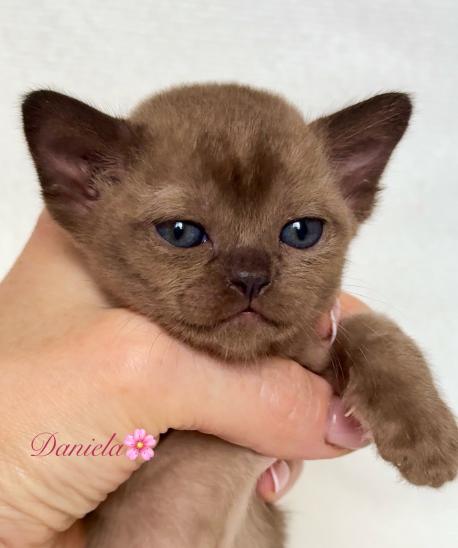Daniela