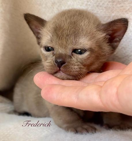 Frederick