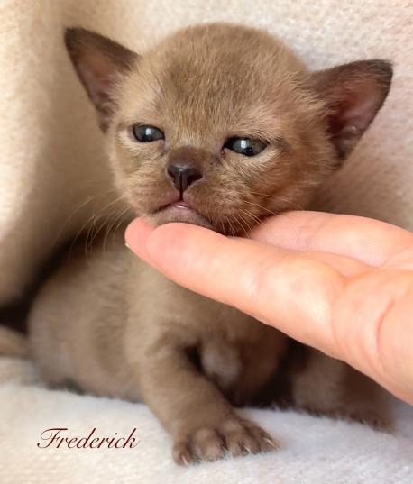 Frederick