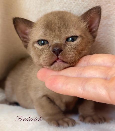 Frederick