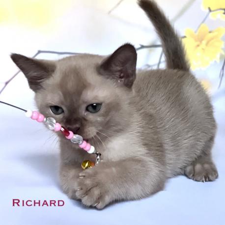 Richard