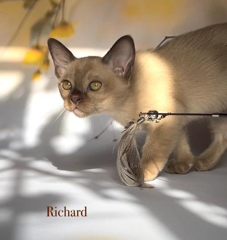 Richard