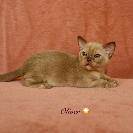 Oliver