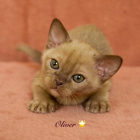 Oliver